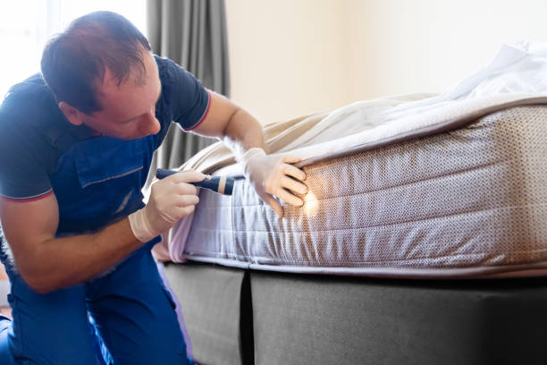 Best Bed Bug Extermination  in Ricardo, TX